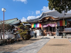 472164779_9031271436986962_6350742742035175247_n