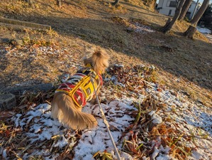 481131836_9305917876188982_2754066379561148432_n