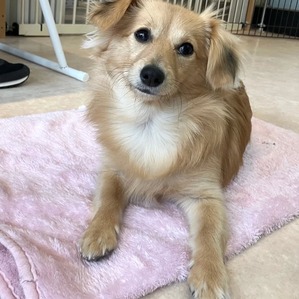 476915896_17864680764336204_8625283857044094959_n