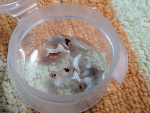 468553254_8837537963026978_5720328904600118088_n