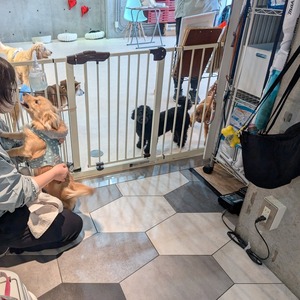 476926010_17864680755336204_2287032130447553469_n