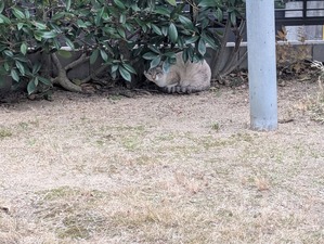 471683738_8994107730703333_6708027862057652714_n