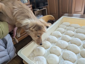 471817459_9008959372551502_3488520398195268612_n