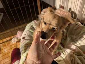 472066013_9014278365352936_5501476130881071424_n