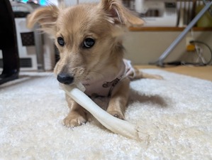 467397860_8767359106711531_7188818317164088892_n