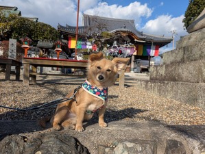 472262535_9031271663653606_4728090379606562945_n