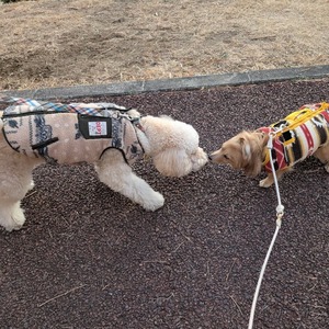 481763536_17866238238336204_4201992570955696866_n