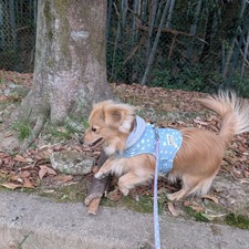 489737747_17872212912336204_8542768390084001110_n