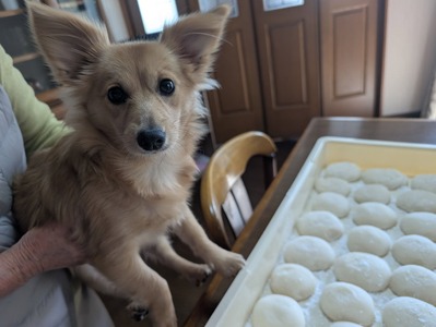 472032751_9008959549218151_4278013703548372079_n