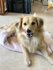 486503437_9521128578001243_296282183415816296_n