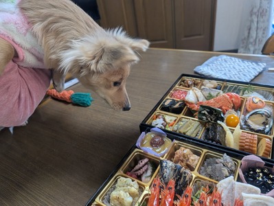 471764755_9020893724691400_2894365722304225777_n