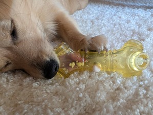 480123782_17865680655336204_4069181112271810622_n