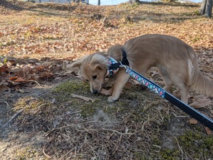 472689323_9042006605913445_147024325876208996_n