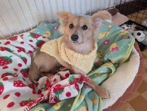 469318658_8870302179750556_2521101415445250635_n