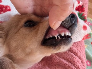 467158850_8753446781436097_3161580299956481641_n