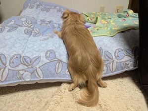 475029024_9156593141121457_2618461517353013791_n