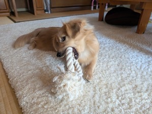 480490144_17865679815336204_1144986870350005095_n