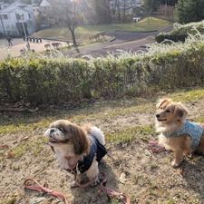 487174613_17870965845336204_7841118853312738047_n