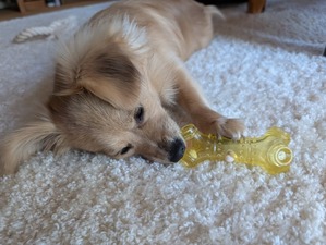 475256598_17865680664336204_2123829914194914812_n