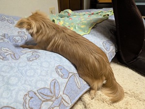 474766556_9156593277788110_7835025850015877030_n