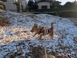 480671866_9305916402855796_6012217959785353694_n