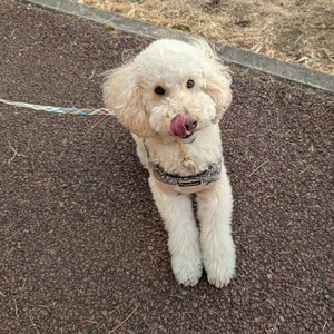 480818741_17866238220336204_2423316947693281400_n