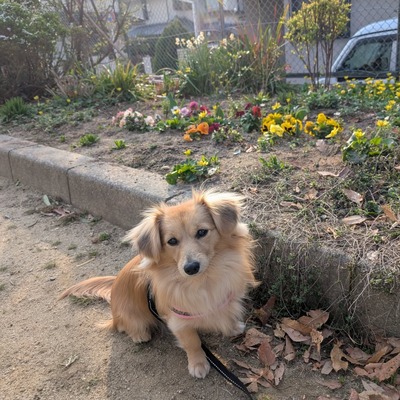 487320157_17870532105336204_3168424164464971526_n