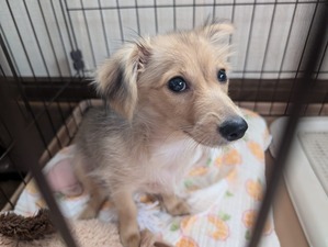 463667658_8583202335127210_5116400354681874095_n