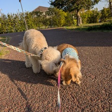 489972080_17872212939336204_747411893320376775_n