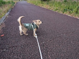 468674811_8839825609464880_2932172154932789648_n