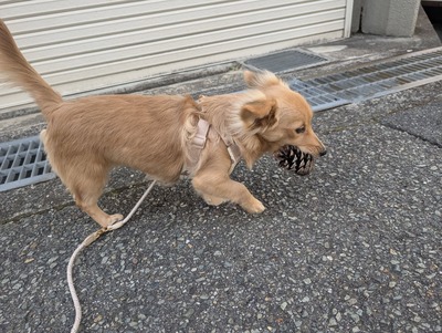 472156197_9015621015218671_4663011499781337791_n