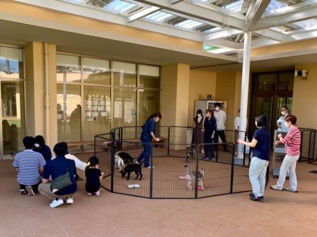 244328886_4338494362937764_1904093945366357356_n