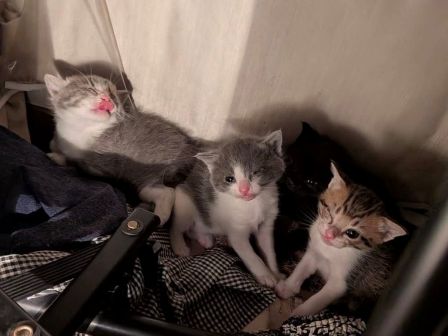 681583840_26524269007266982_1343848313184245562_n