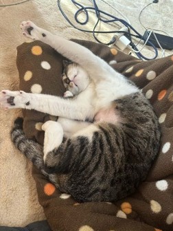 4a3f627d-a6bc-4a12-8173-8358ae1b1a55