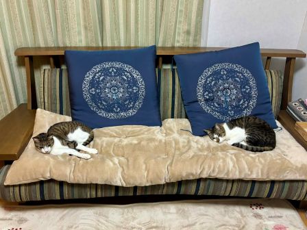 9ec967ed-fd95-4f0d-b87e-78edd18c20c2