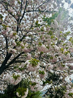 328975f4-afae-4daf-8f3f-d16ca46fef2f