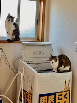 605894304_25372411302452764_3186598754979368906_n