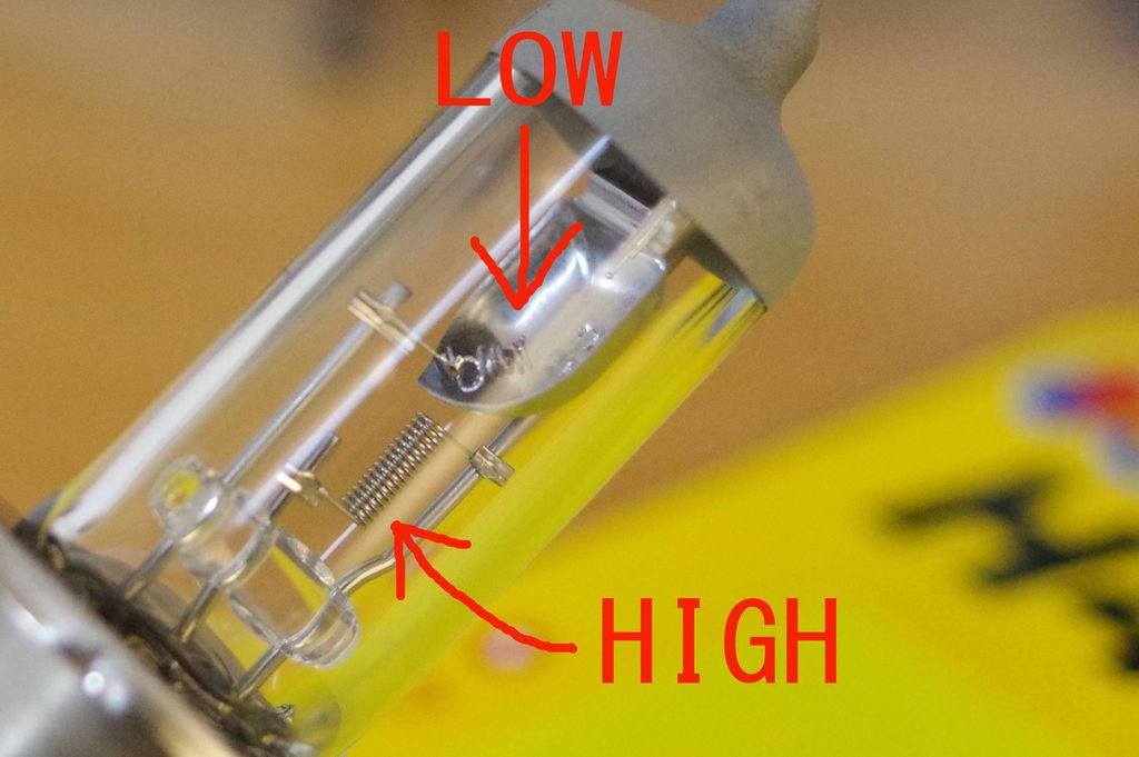 転倒 シニス リベラル ヘッド ライト バルブ 切れ 水族館 学士 ゴージャス