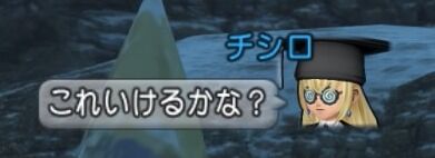 ドラゴンクエストⅩ_20200108223859