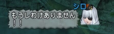 ドラゴンクエストⅩ_20200628230355