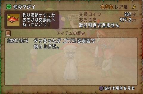 ドラゴンクエストⅩ_20211011231026
