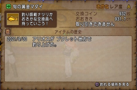 ドラゴンクエストⅩ_20211011225728