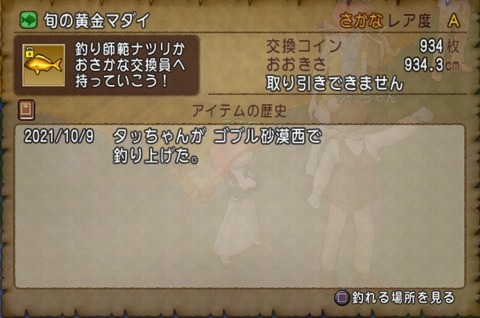 ドラゴンクエストⅩ_20211011224302