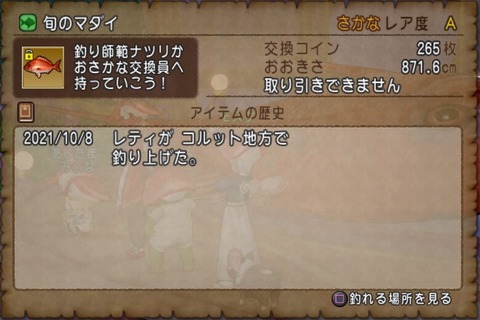 ドラゴンクエストⅩ_20211011230001
