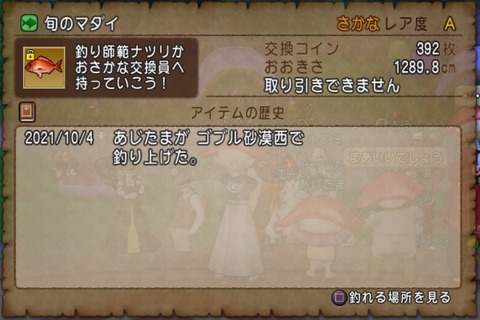ドラゴンクエストⅩ_20211011224940