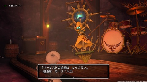 ドラゴンクエストⅩ_20210722235704
