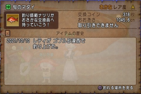 ドラゴンクエストⅩ_20211011224809