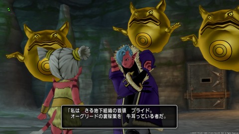 ドラゴンクエストⅩ_20190924205410