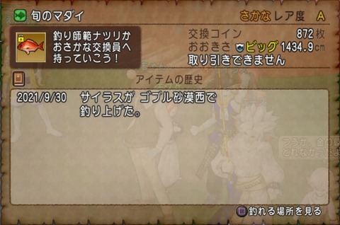 ドラゴンクエストⅩ_20211011223443