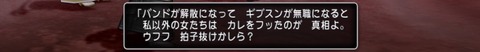 ドラゴンクエストⅩ_20210723005428